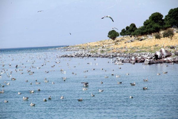 adır adası